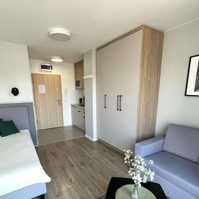 Location d’un appartement cosy d’une pièce de 25 m² à Przedmieście, Wrocław, Pologne