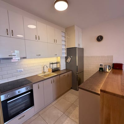 Rent of a two-room apartment, 47 m², in a premium residential complex in the city center, Belgrade, Serbia
