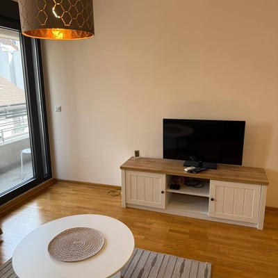 Rent of a two-room apartment, 47 m², in a premium residential complex in the city center, Belgrade, Serbia