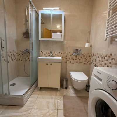 Rent of a two-room apartment, 47 m², in a premium residential complex in the city center, Belgrade, Serbia