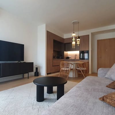Rent of a two-room apartment, 55 m², in the premium residential complex BW King’s Park, Belgrade, Serbia