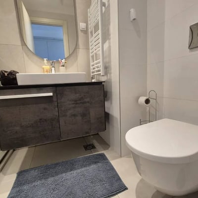 Rent of a studio apartment, 32 m², in the premium residential complex BW Aqua, Belgrade, Serbia