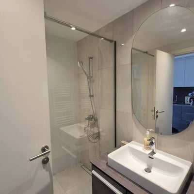 Rent of a studio apartment, 32 m², in the premium residential complex BW Aqua, Belgrade, Serbia