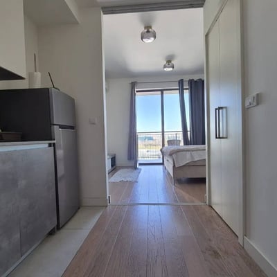 Rent of a studio apartment, 32 m², in the premium residential complex BW Aqua, Belgrade, Serbia