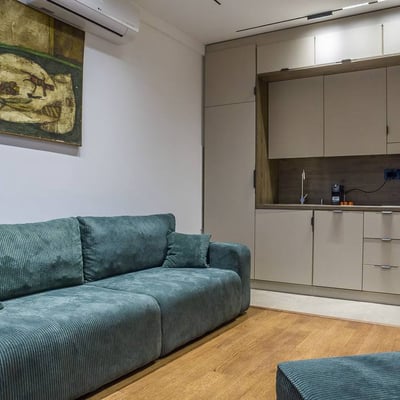 Rent of a comfortable two-room apartment, 40 m², Vračar district, Belgrade, Serbia