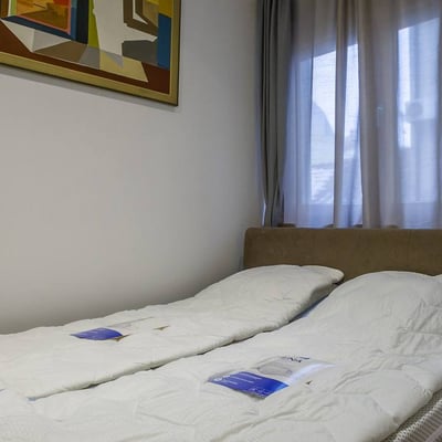 Rent of a comfortable two-room apartment, 40 m², Vračar district, Belgrade, Serbia