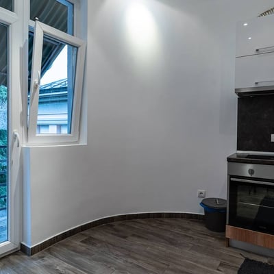 Аренда двухкомнатной квартиры 53 м² с новым ремонтом напротив парка Ташмайдан, Белград, Сербия