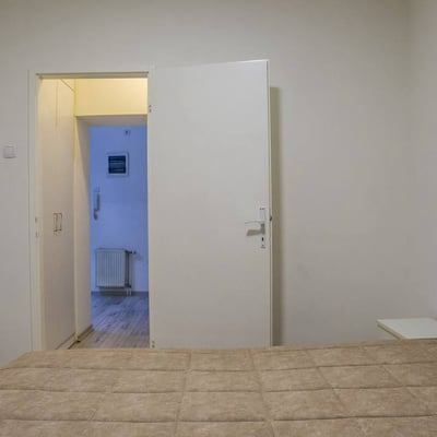 Аренда комфортной трехкомнатной квартиры 49 м² в центре Белграда, Сербия