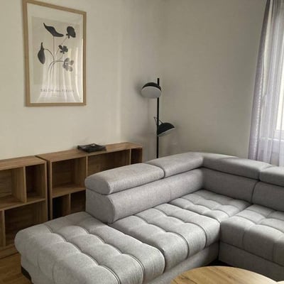 Rent of a bright 3-room apartment, 65 m², newly renovated, Vračar, Belgrade, Serbia