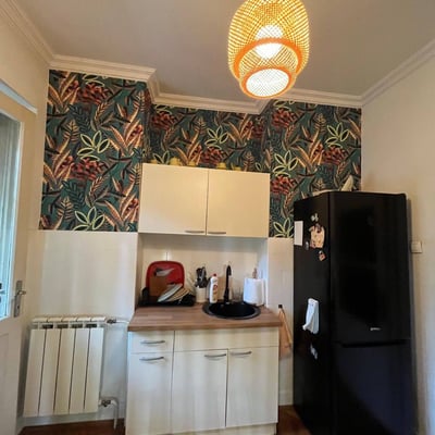 Rent of a cozy furnished 3-room apartment, 77 m², Vračar, Belgrade, Serbia