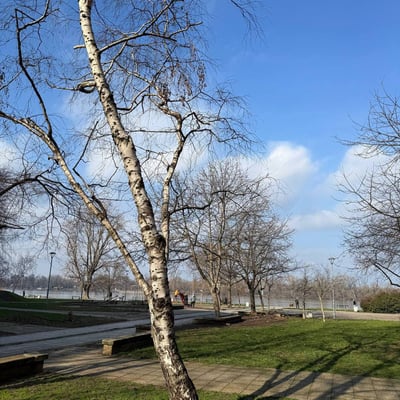 Rent of a bright 1-room apartment, 43 m², in the center of Belgrade, Serbia