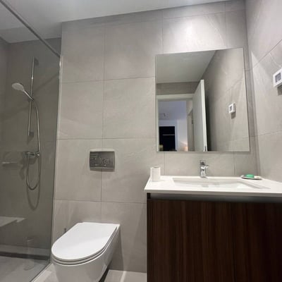 Аренда светлой двухкомнатной квартиры, 53 м², в ЖК премиум-класса BW King’s Park, Белград, Сербия