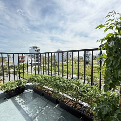 Location d’un appartement neuf et meublé, Da Nang, Vietnam