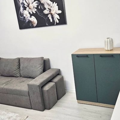 Аренда меблированной двухкомнатной квартиры, 55 м², сектор 6, Бухарест, Румыния