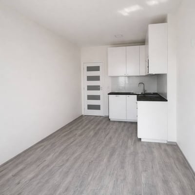 Location d’un appartement lumineux de 2 pièces, 43 m², Žižkov, Prague, République tchèque