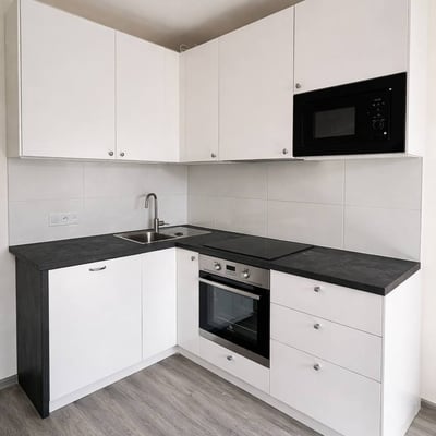 Location d’un appartement lumineux de 2 pièces, 43 m², Žižkov, Prague, République tchèque
