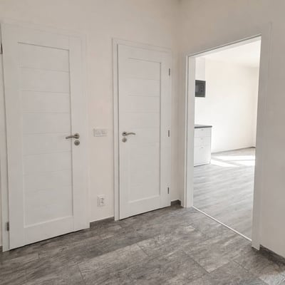 Location d’un appartement lumineux de 2 pièces, 43 m², Žižkov, Prague, République tchèque
