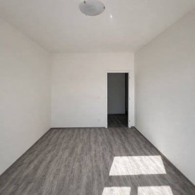 Location d’un appartement lumineux de 2 pièces, 43 m², Žižkov, Prague, République tchèque