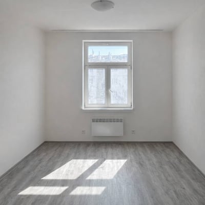 Location d’un appartement lumineux de 2 pièces, 43 m², Žižkov, Prague, République tchèque