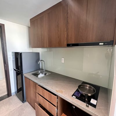 Rent of a furnished apartment with 2 bedrooms, My An, Da Nang, Vietnam