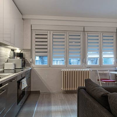 Alquiler de un acogedor apartamento amueblado de 2 habitaciones, 40 m², Vračar, Belgrado, Serbia