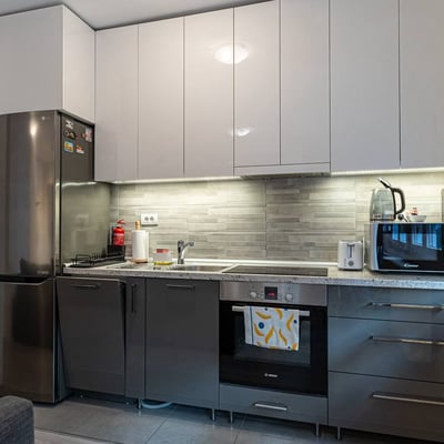 Alquiler de un acogedor apartamento amueblado de 2 habitaciones, 40 m², Vračar, Belgrado, Serbia