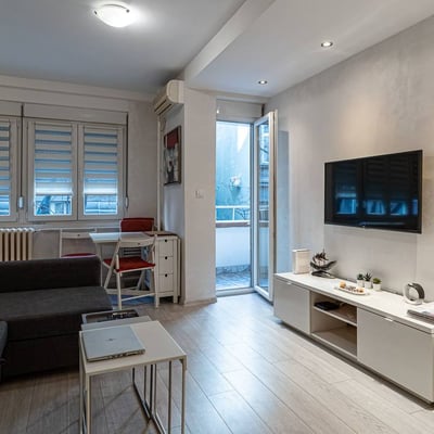 Alquiler de un acogedor apartamento amueblado de 2 habitaciones, 40 m², Vračar, Belgrado, Serbia