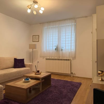 Location d’un appartement confortable de 3 pièces, 60 m², Vračar, Belgrade, Serbie