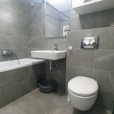 Rent of a 2-room apartment in Wellport residence, 61 m², New Belgrade, Belgrade, Serbia