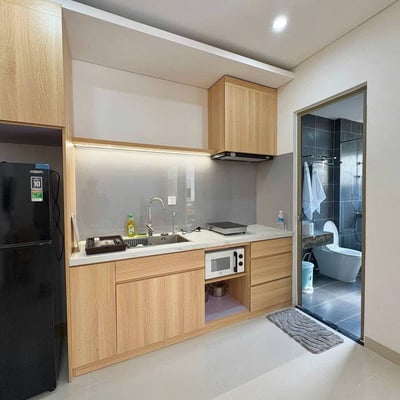 Furnished apartment with one bedroom for rent, My An area, Da Nang, Vietnam