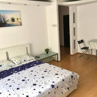 Location d’un bon appartement d’une pièce avec cuisine séparée, Sector 3, Bucarest, Roumanie