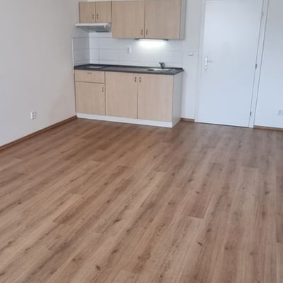 Cozy and bright one-room apartment for rent, 35 m², Bohnice, Prague, Czech Republic