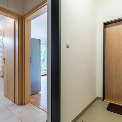 Cozy and bright apartment for rent, 26 m², Vršovice, Prague, Czech Republic