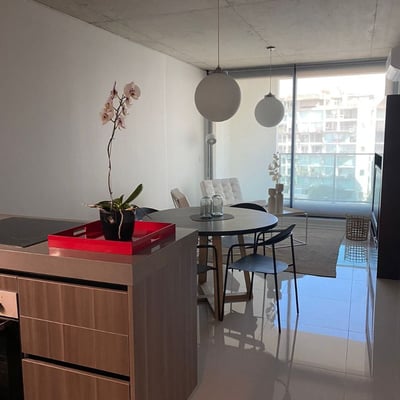 Modern bright apartment with balcony for rent, 45 m², Palermo Hollywood, Buenos Aires, Argentina