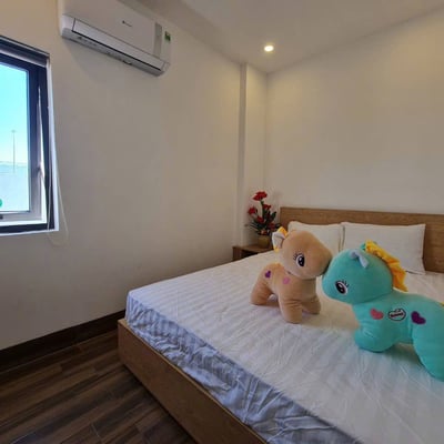 Comfortable furnished apartment for rent, Son Tra, Da Nang, Vietnam