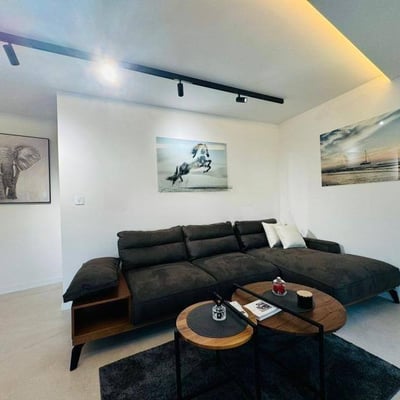 Stilvolle möblierte Wohnung 75 m² mit Terrasse zur Miete in Vračar, Belgrad, Serbien