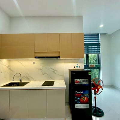 Cozy furnished apartment with balcony for rent in Cam Le, Da Nang, Vietnam