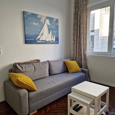 Geräumige 2-zimmer-wohnung zur miete, 45 m², Belgrade, Serbien