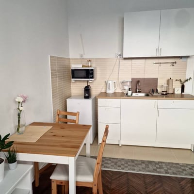 Location appartement spacieux de 2 pièces, 45 m², Belgrade, Serbie