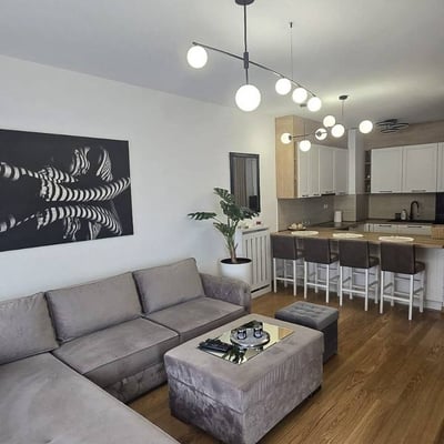 Modern furnished apartment for rent in Wellport residential complex, 54 m², New Belgrade, Belgrade, Serbia