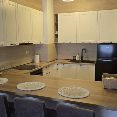 Modern furnished apartment for rent in Wellport residential complex, 54 m², New Belgrade, Belgrade, Serbia