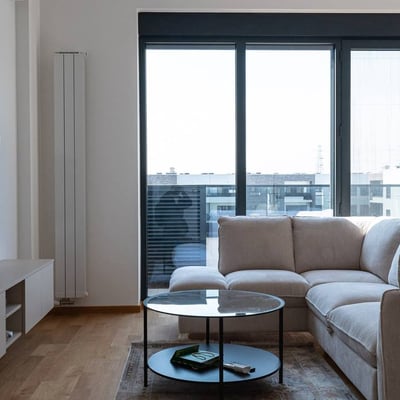 Location appartement moderne, rénové, meublé de 2 pièces, 65 м², Nouveau Belgrade, Belgrade, Serbie