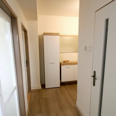 Аренда светлой, комфортной квартиры, 50 м², Вршовице, Прага, Чехия