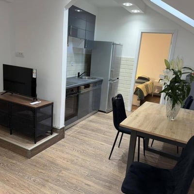 Location appartement confortable, meublé, sur deux étages, 55 m², Vračar, Belgrade, Serbie