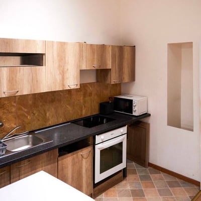 Аренда уютной, комфортной квартиры, 42 м², Жижков, Прага, Чехия