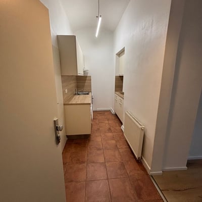 Cozy, comfortable apartment for rent, 50 m², Žižkov, Prague, Czech Republic