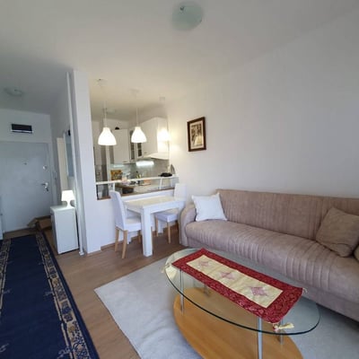 Alquiler de apartamento luminoso, cómodo, 40 m², Belgrado, Serbia