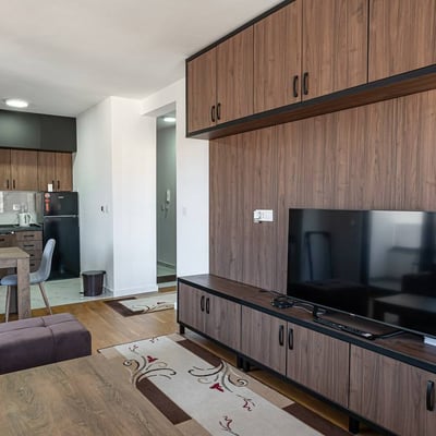 Neue, gemütliche 2-zimmer-wohnung zur miete, 52 м², Vračar, Belgrad, Serbien