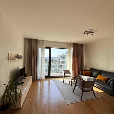 Аренда просторной, современной квартиры с видом на реку в ЖК BW Terra, 90 м², Белград, Сербия