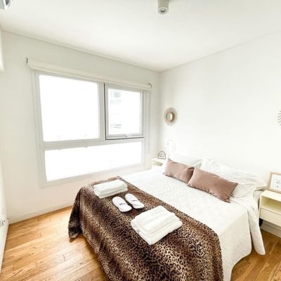 Bright, spacious apartment with balcony for rent, 60 m², Palermo Chico, Buenos Aires, Argentina